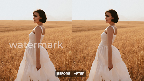 remove watermark from photo online for free