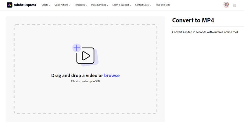 adobe express mp4 converter