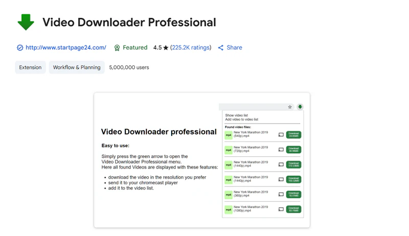 video downloader professional