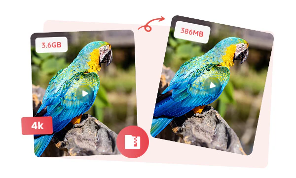 more than mp4 to gif